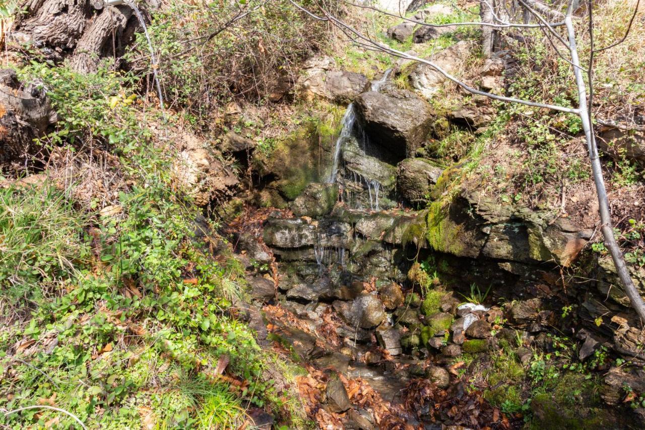 Вилла Cortijo La Encinilla Ланхарон Экстерьер фото